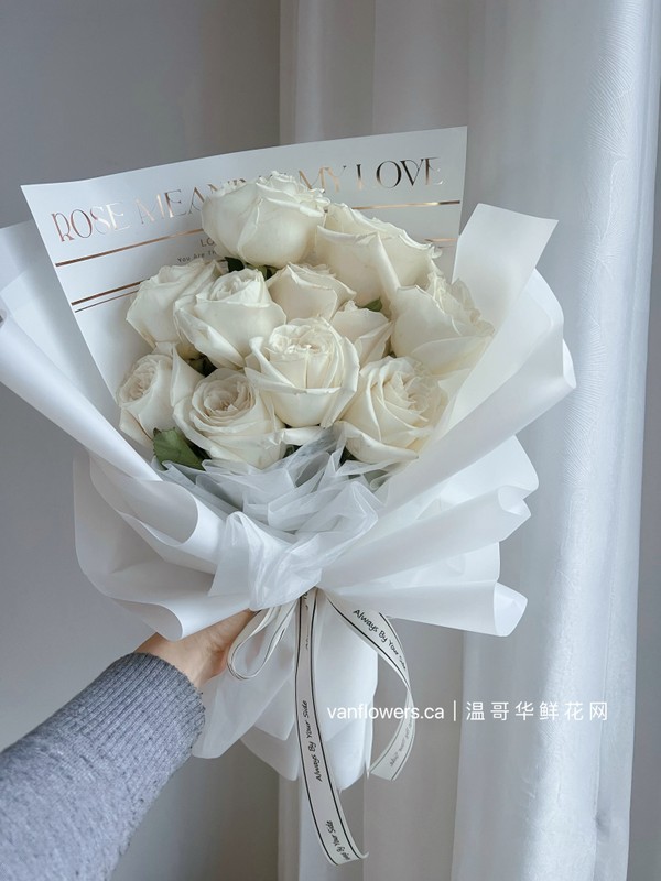 爱在温哥华｜11枝白玫瑰
