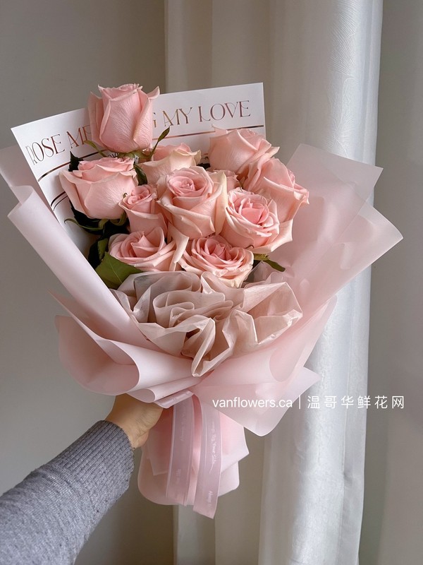 爱在温哥华｜11粉玫瑰
