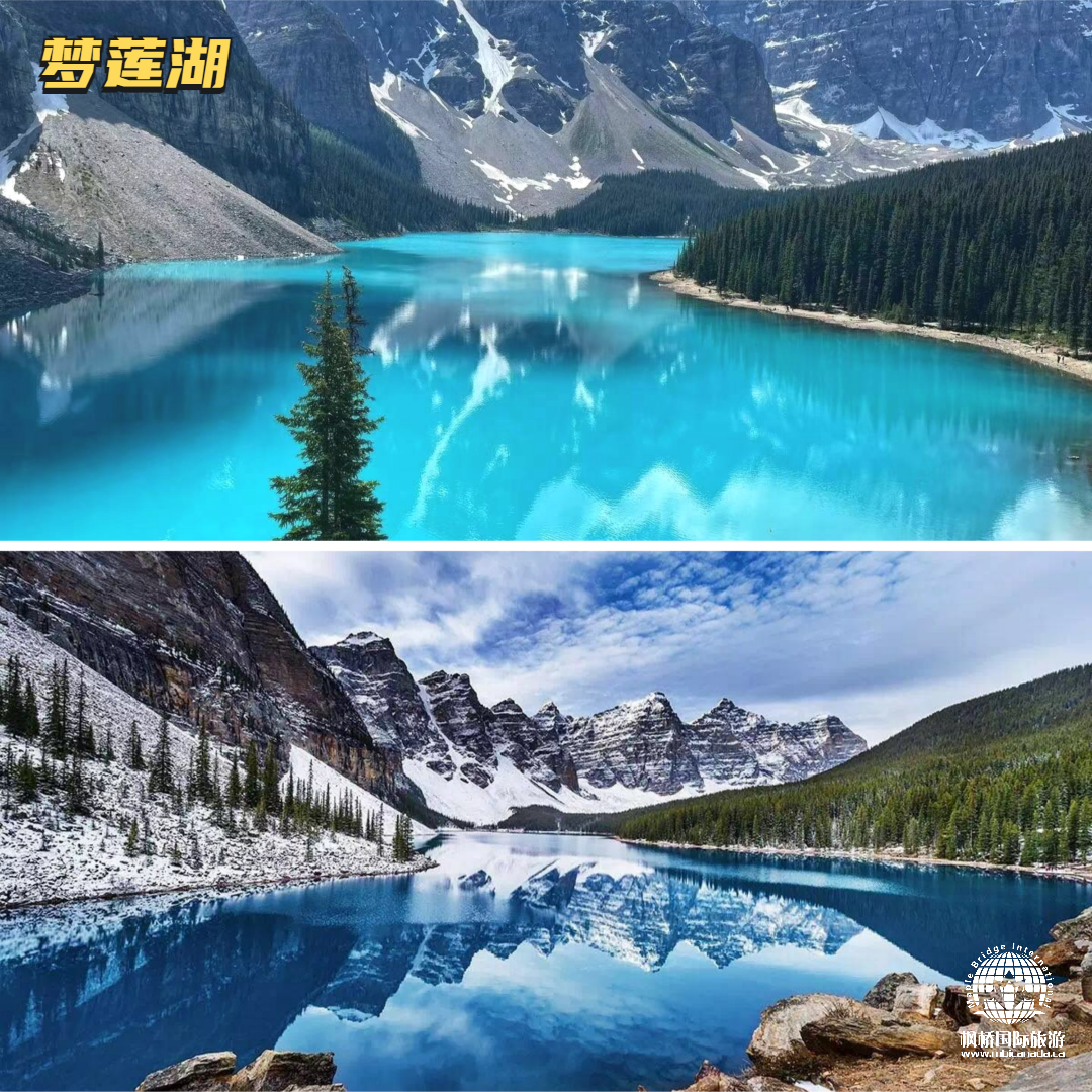 快来搭乘你的梦莲湖私属专列吧!