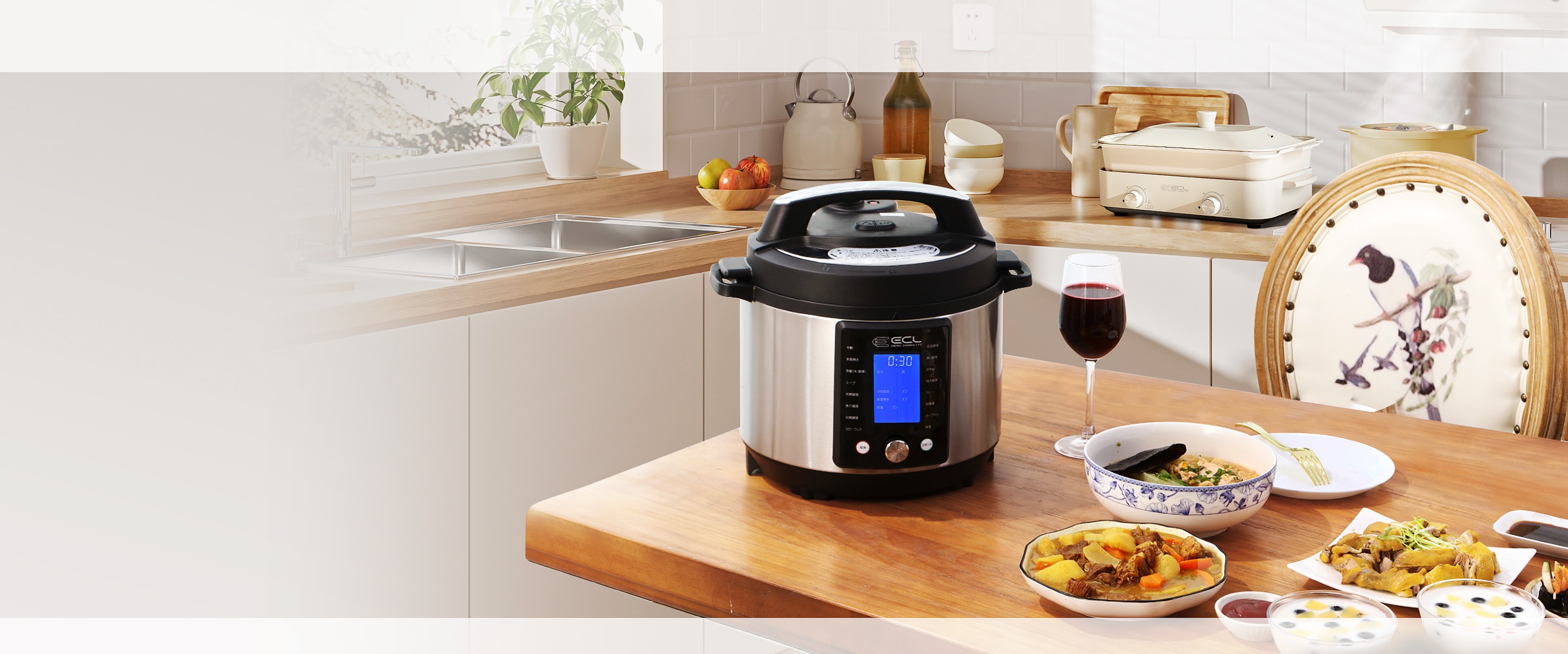 ECL 車載冷蔵庫 35L ポータブル冷凍庫冷蔵庫 コンプレッサー式 Amazon